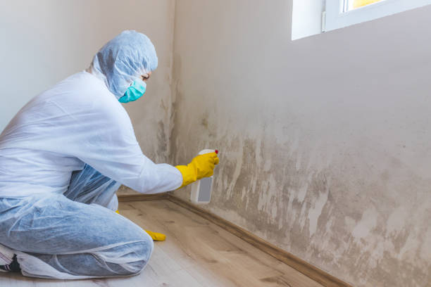 Commercial Mold Remediation assessment for commercial property in Loveland